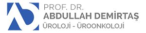 Prof. Dr. Abdullah Demirtaş
